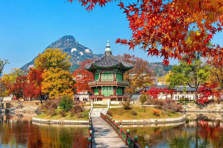 Secrets Of South Korea And Why You Should Visit